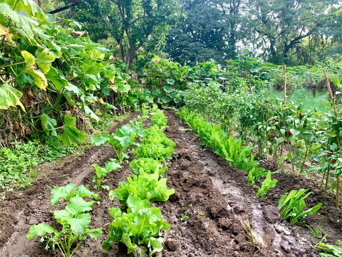 بيت شباب Cascina Bellaria ميلان المظهر الخارجي الصورة